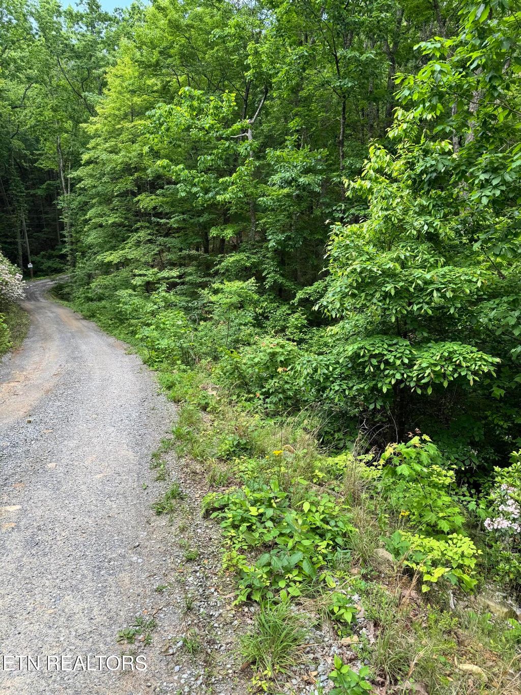 Photo of Goose Creek Rd #Lot 1, Seymour, TN 37865 (MLS # 1333877)