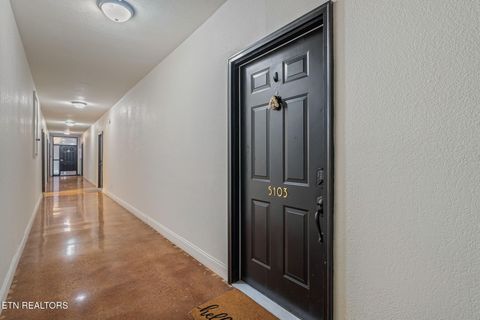 Tiny photo for 5709 Lyons View Pike #5103, Knoxville, TN 37919 (MLS # 1328652)