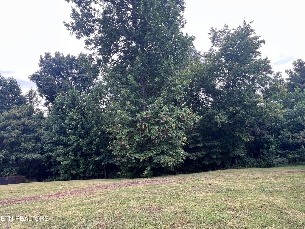 Photo of 108 Serrento Lane, New Tazewell, TN 37825 (MLS # 1316467)