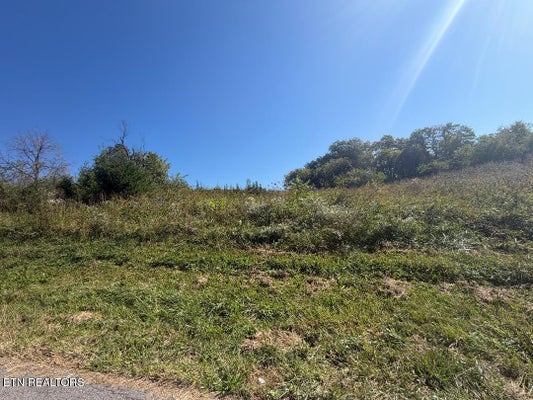 SEABROOK ST, NEWPORT, TN 37821 - Image 4e3dfaf8e7825c9bde589ae4fee93a6e/2655734142