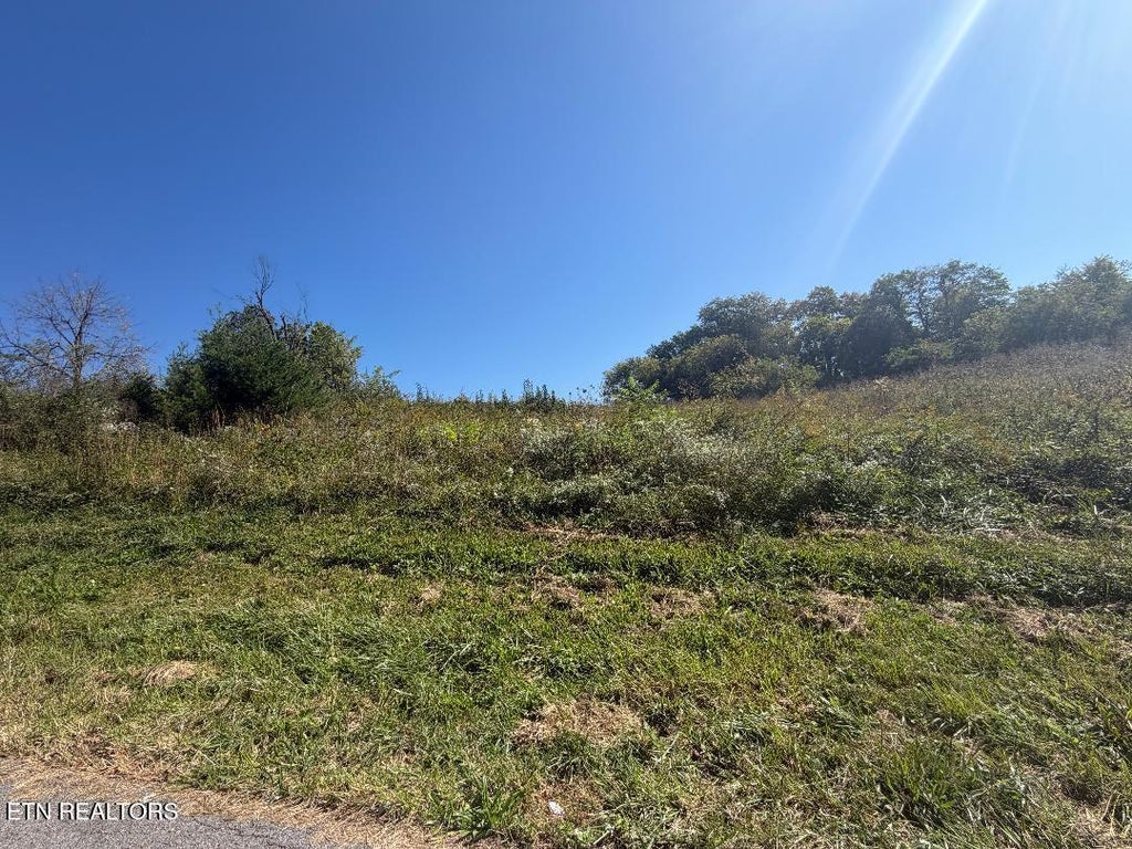 Photo of Seabrook St, Newport, TN 37821 (MLS # 1358995)