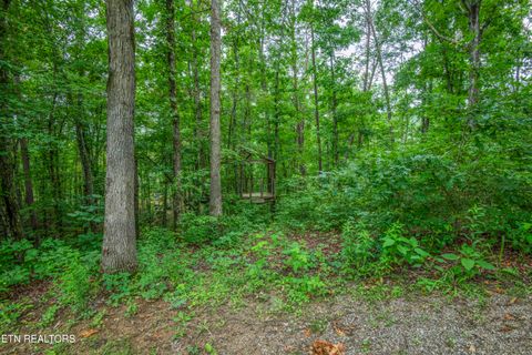 Tiny photo for 123 Southlake Drive, Kingston, TN 37763 (MLS # 1341672)