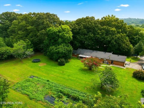 Tiny photo for 3864 Highway 11 S, Riceville, TN 37370 (MLS # 1349833)