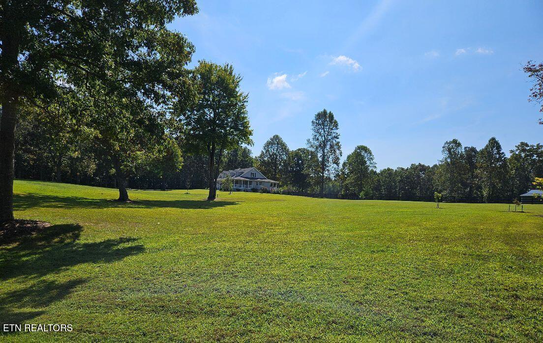 205 Crest View Drive