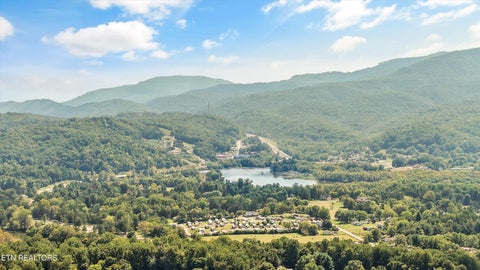 Tiny photo for 301 Bibee Lane, Caryville, TN 37714 (MLS # 1355675)