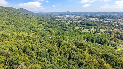 Tiny photo for 301 Bibee Lane, Caryville, TN 37714 (MLS # 1355675)