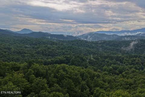 Photo of Lot 41 Shady Oaks Way, Sevierville, TN 37876 (MLS # 1353022)