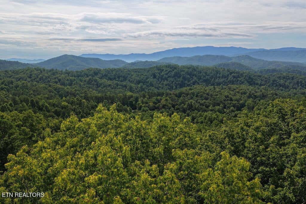 Photo of Lot 41 Shady Oaks Way, Sevierville, TN 37876 (MLS # 1353022)