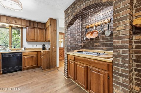 Tiny photo for 7366 Circle Point Drive, Talbott, TN 37877 (MLS # 1339000)