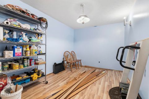 Tiny photo for 7366 Circle Point Drive, Talbott, TN 37877 (MLS # 1339000)