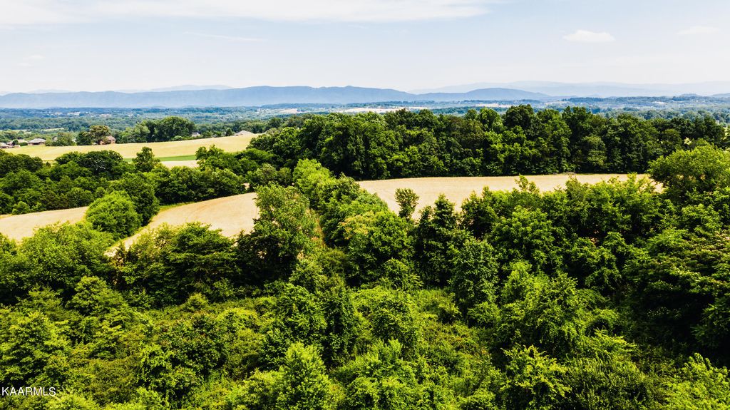 Photo of Gregory Rd, Greenback, TN 37742 (MLS # 1230320)