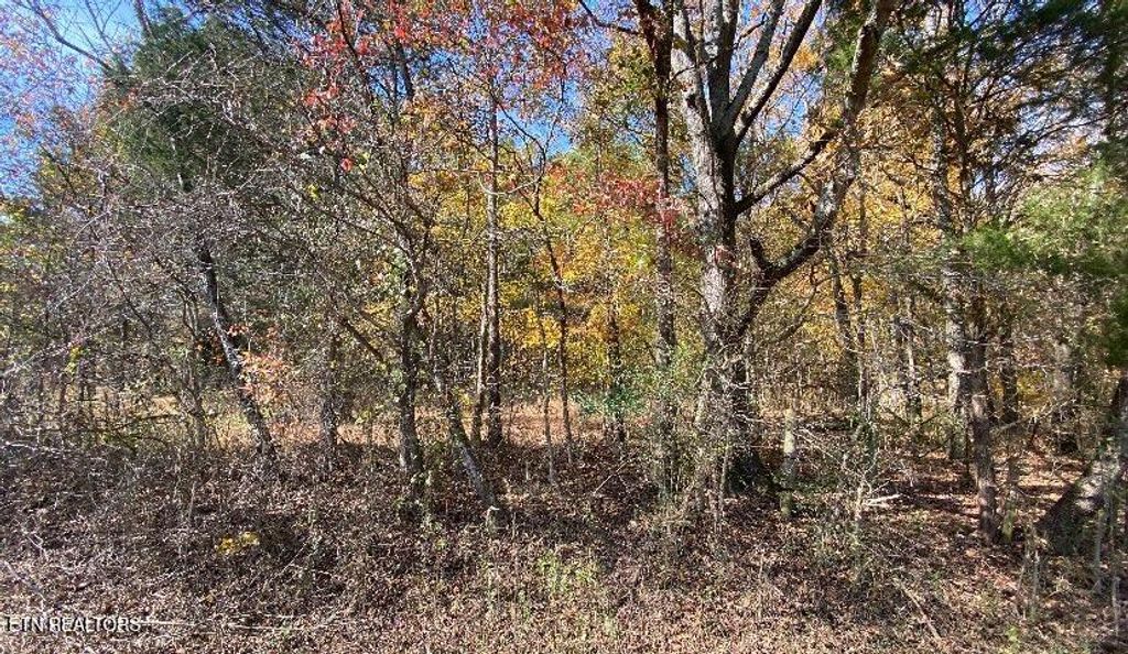 Photo of 00 County Road 62, Riceville, TN 37370 (MLS # 1320781)