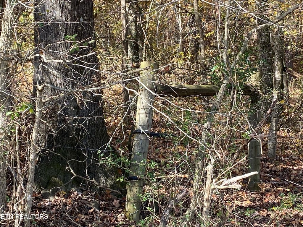 Photo of 00 County Road 62, Riceville, TN 37370 (MLS # 1320781)