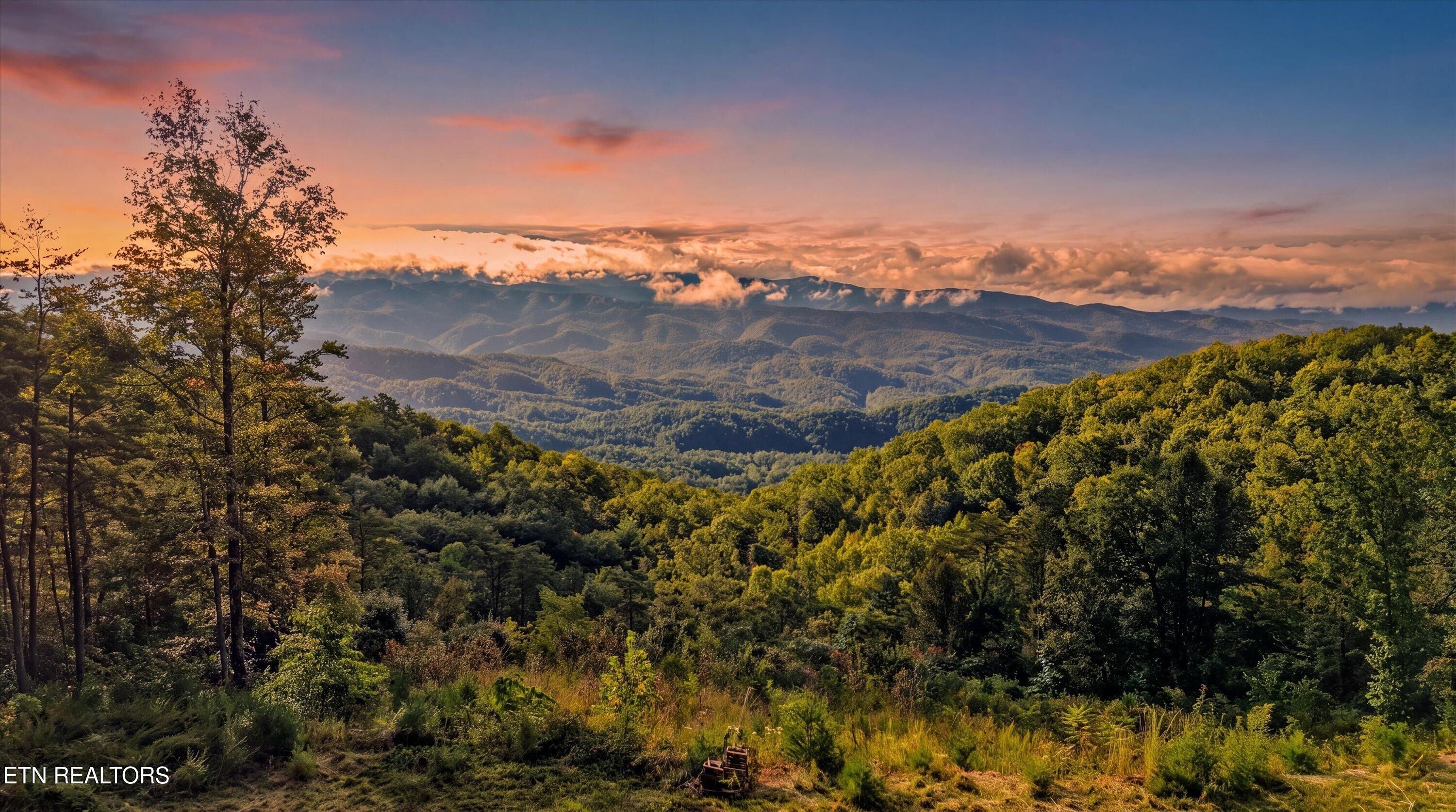 Tract 24 Chilhowee Mountain Tr