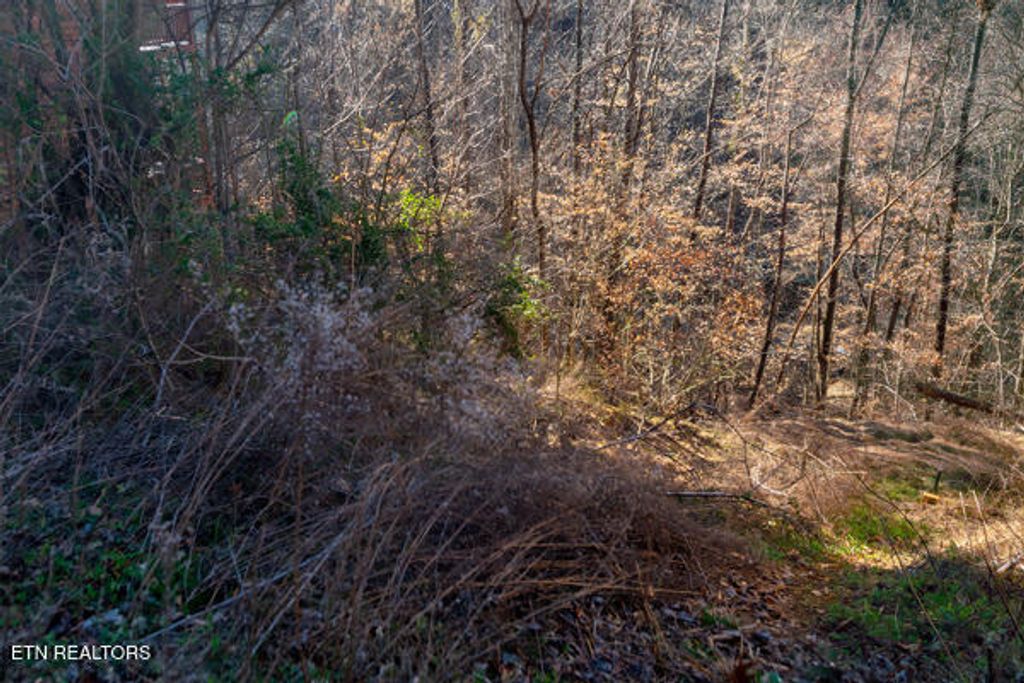 Photo of 636 Stockton Drive, Sevierville, TN 37876 (MLS # 1291830)