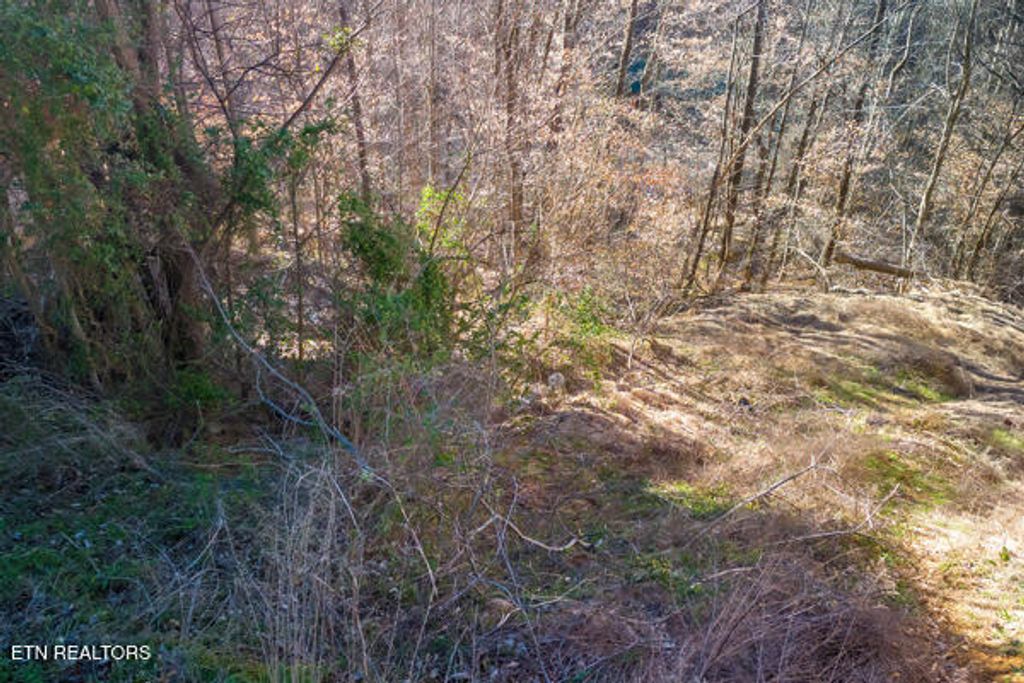 Photo of 636 Stockton Drive, Sevierville, TN 37876 (MLS # 1291830)