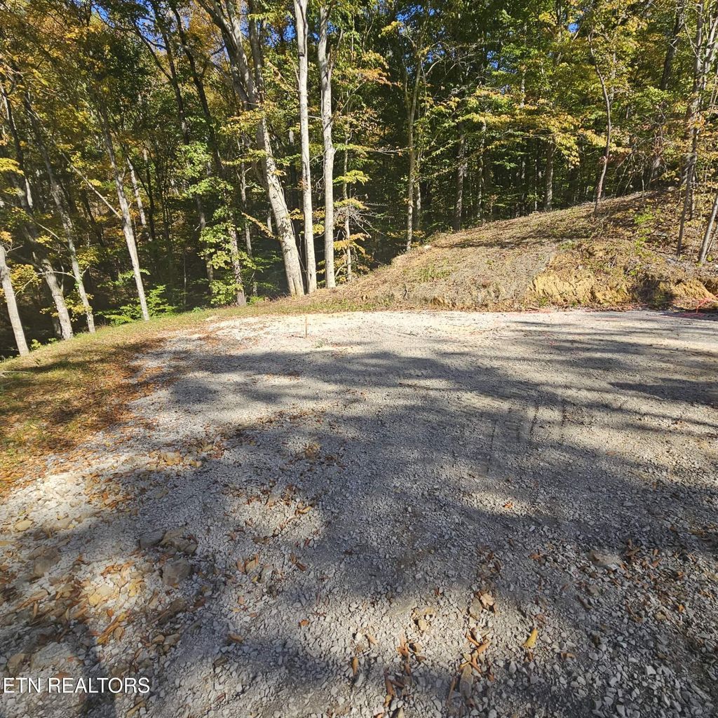 Photo of 2806 Old Chilhowee Rd Rd, Walland, TN 37886 (MLS # 1285039)