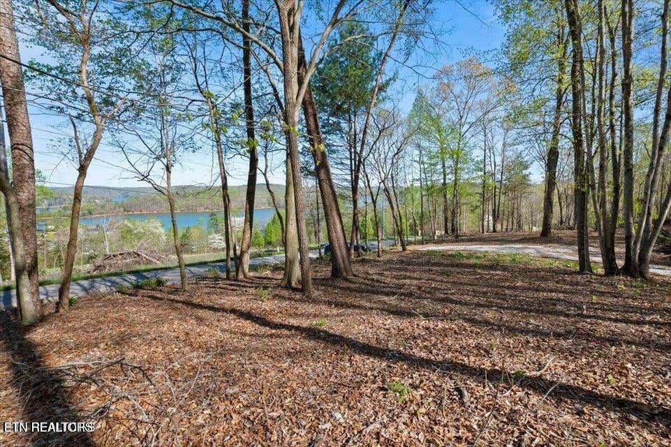 Photo of Demory Rd, LaFollette, TN 37766 (MLS # 1350454)