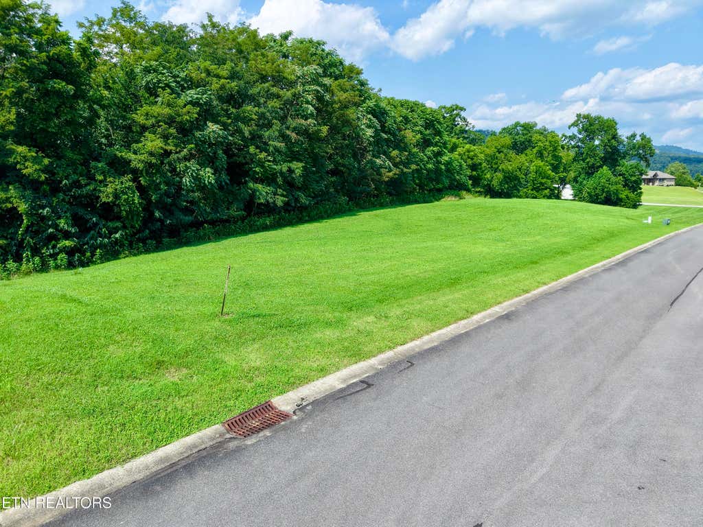 Photo of 5043 Serenity Drive, Mooresburg, TN 37811 (MLS # 1350830)