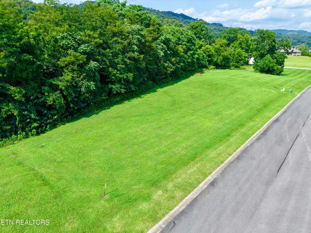 Photo of 5043 Serenity Drive, Mooresburg, TN 37811 (MLS # 1350830)