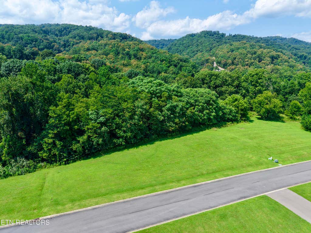 Photo of 5043 Serenity Drive, Mooresburg, TN 37811 (MLS # 1350830)