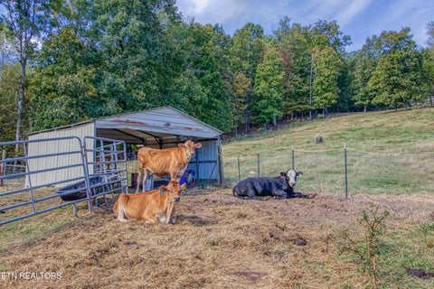 Tiny photo for 612 County Road 110, Athens, TN 37303 (MLS # 1360058)