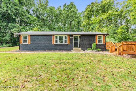 Photo of 150 Yarnell Rd, Clinton, TN 37716 (MLS # 1314198)