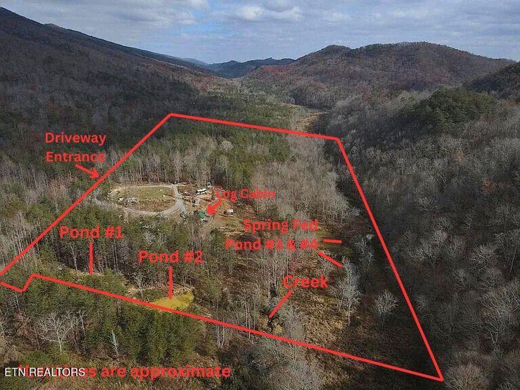 Photo of 1693 Steve Brown Rd, Bean Station, TN 37708 (MLS # 1335547)