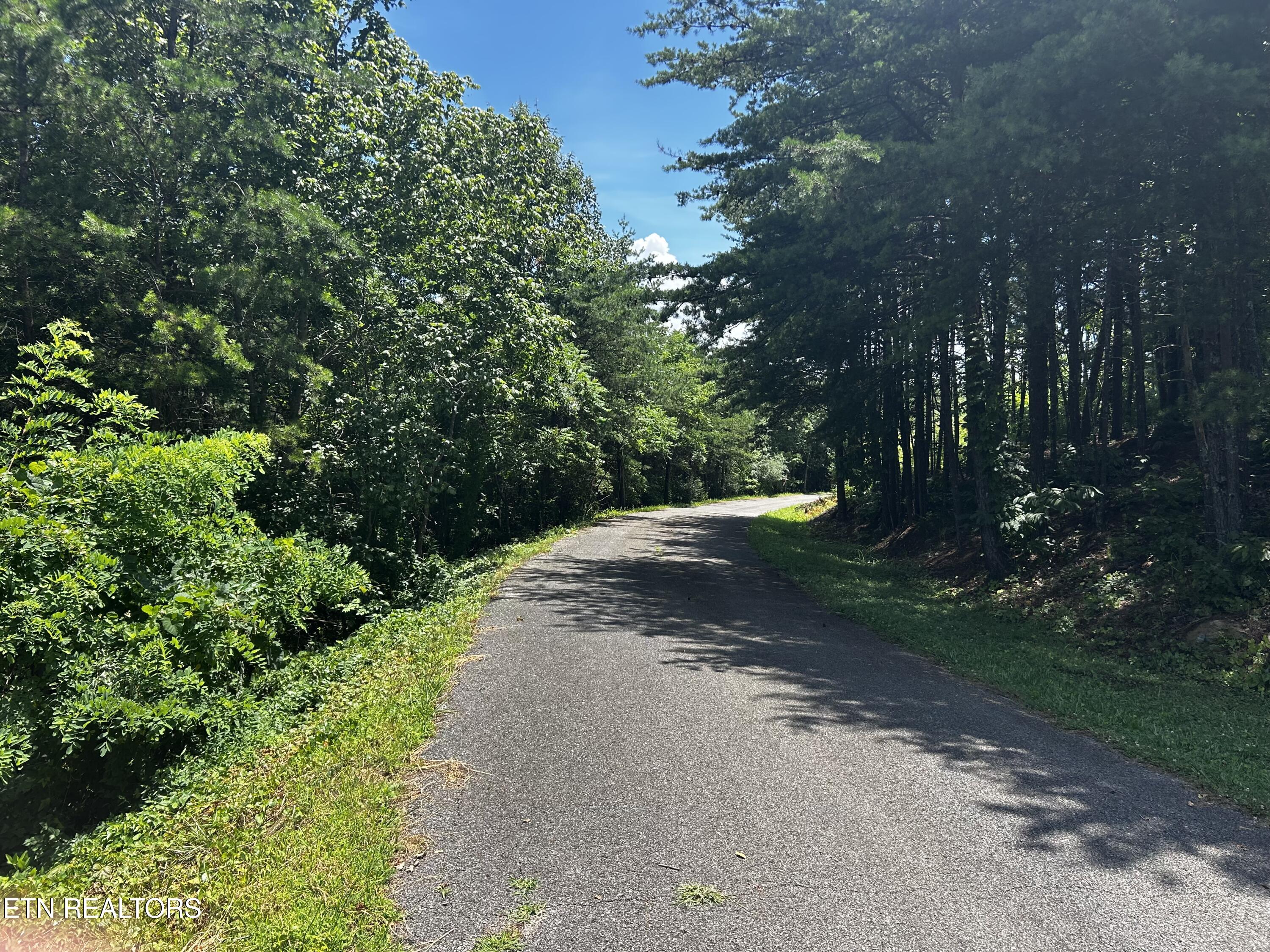 Highlands Bluff Rd