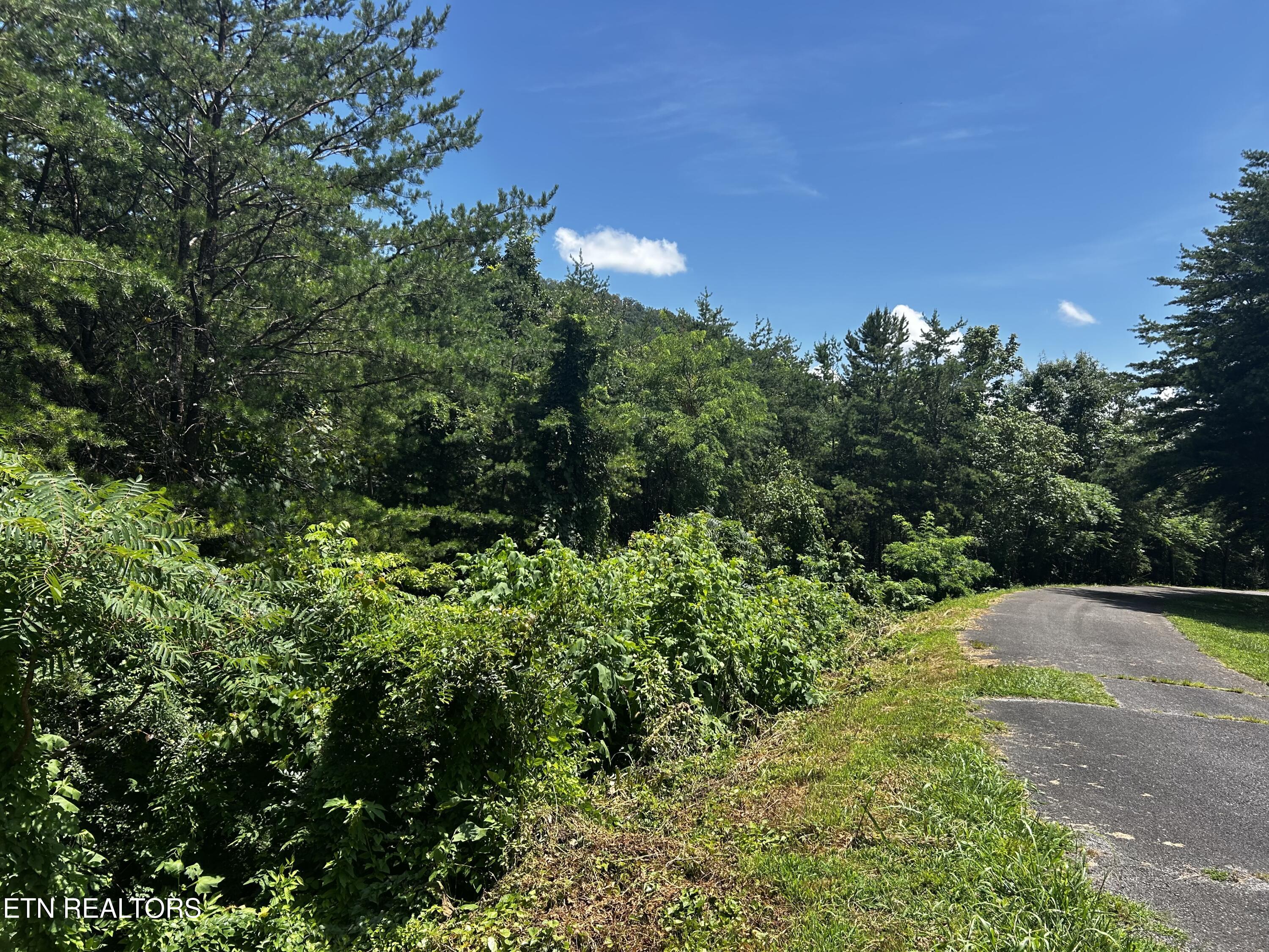 Highlands Bluff Rd