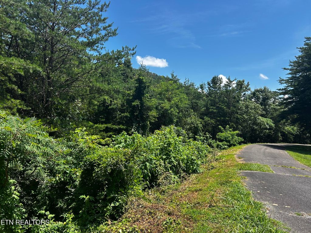 Photo of Highlands Bluff Rd, Tellico Plains, TN 37385 (MLS # 1307279)