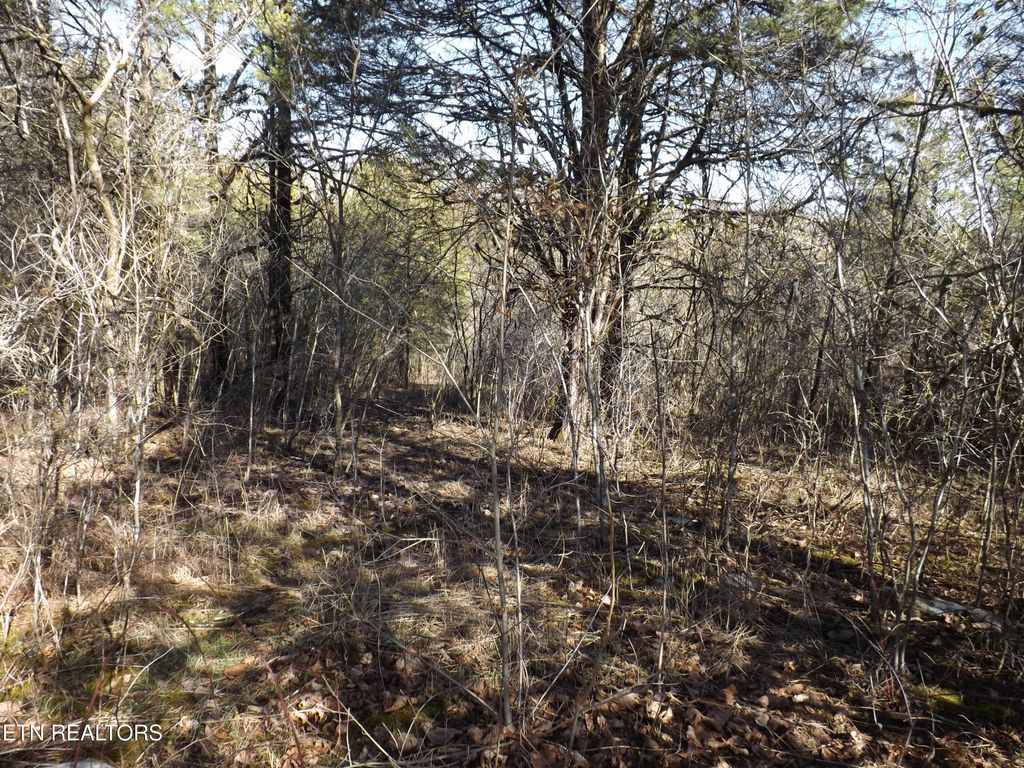 Photo of 259 Mountain Shores Rd, New Tazewell, TN 37825 (MLS # 1331280)