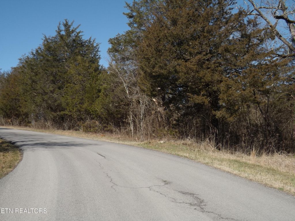 Photo of 259 Mountain Shores Rd, New Tazewell, TN 37825 (MLS # 1331280)