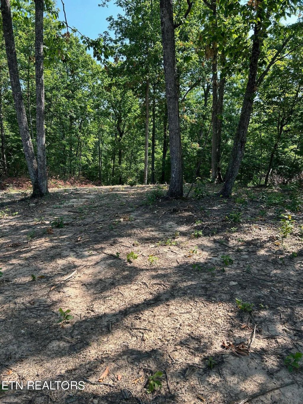 Photo of 3 Mecca Pike, Tellico Plains, TN 37385 (MLS # 1249383)