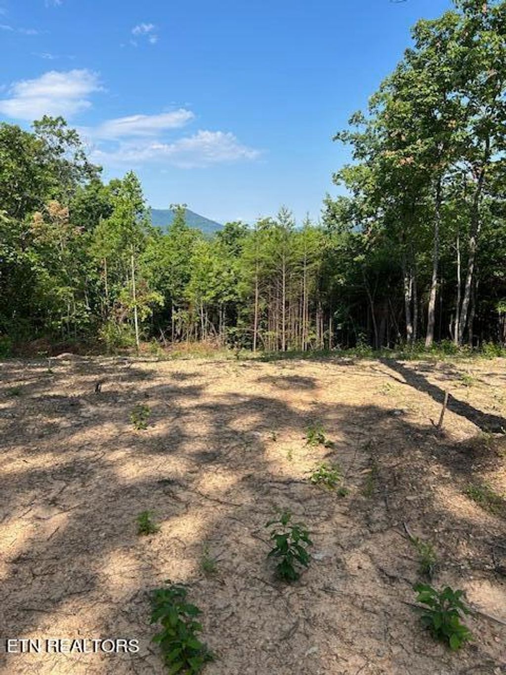 Photo of 3 Mecca Pike, Tellico Plains, TN 37385 (MLS # 1249383)