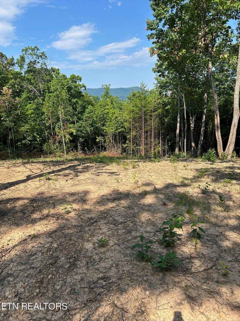 Photo of 3 Mecca Pike, Tellico Plains, TN 37385 (MLS # 1249383)
