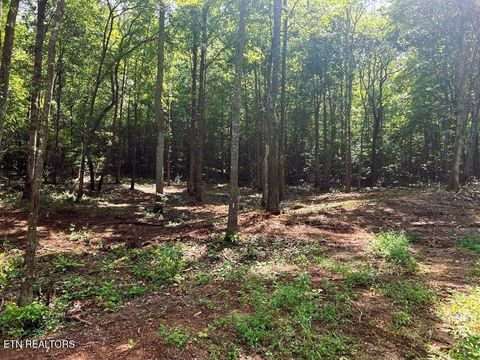 Tiny photo for 8 Pleasant Hill Rd, Ten Mile, TN 37880 (MLS # 1334694)