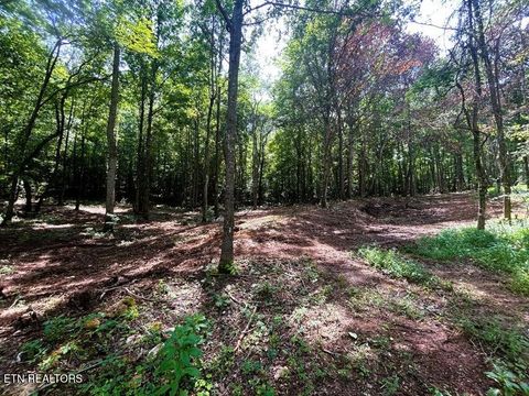 Photo of 8 Pleasant Hill Rd, Ten Mile, TN 37880 (MLS # 1334694)