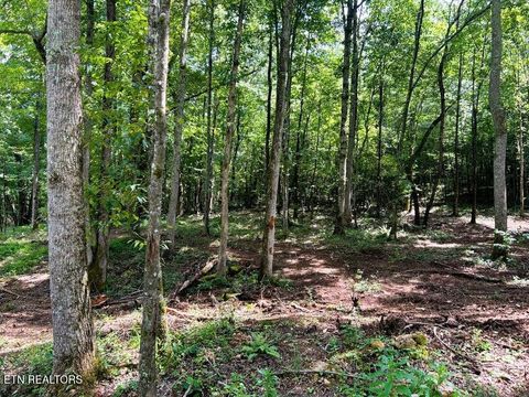 Tiny photo for 8 Pleasant Hill Rd, Ten Mile, TN 37880 (MLS # 1334694)