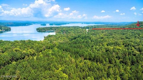 Tiny photo for 8 Pleasant Hill Rd, Ten Mile, TN 37880 (MLS # 1334694)