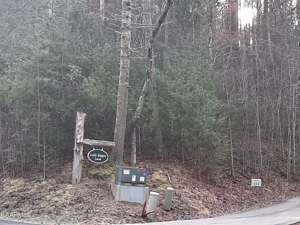 Photo of 509 Lady Slipper Lane, Townsend, TN 37882 (MLS # 1220226)