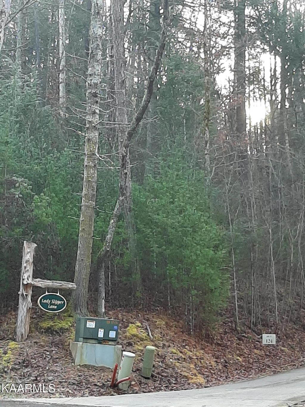 Photo of 509 Lady Slipper Lane, Townsend, TN 37882 (MLS # 1220226)