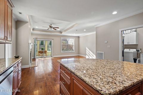 Tiny photo for 12134 Woodhollow Lane, Knoxville, TN 37932 (MLS # 1317050)