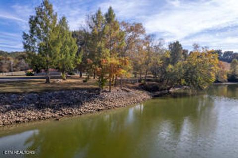 Tiny photo for 41 Espalier Drive, Decatur, TN 37322 (MLS # 1320796)