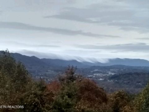 Tiny photo for 211 Wolf Run, Caryville, TN 37714 (MLS # 1334864)