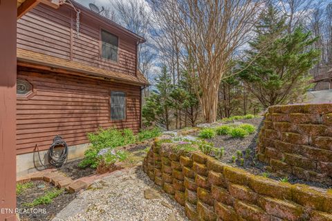 Tiny photo for 211 Wolf Run, Caryville, TN 37714 (MLS # 1334864)