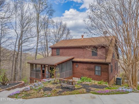 Tiny photo for 211 Wolf Run, Caryville, TN 37714 (MLS # 1334864)