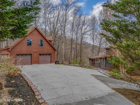 Tiny photo for 211 Wolf Run, Caryville, TN 37714 (MLS # 1334864)