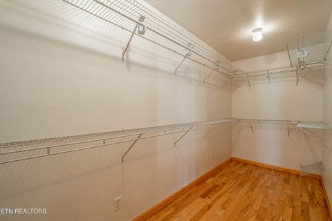 Tiny photo for 211 Wolf Run, Caryville, TN 37714 (MLS # 1334864)