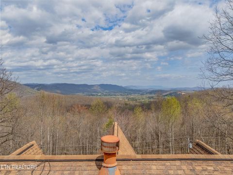 Tiny photo for 211 Wolf Run, Caryville, TN 37714 (MLS # 1334864)